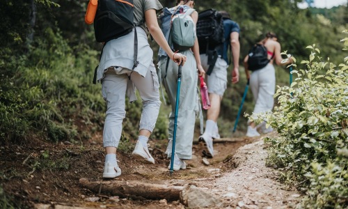 May Blog Hikers walking through forest
